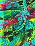 SHEFIT Print Green Swimsuit Top Size L (estimated) - photo 4