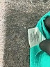 a.n.a. A New Approach 100% Polyester Teal Sleeveless Blouse Size M - photo 5