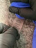 Calvin Klein Blue Casual Pants Size 4 - photo 7