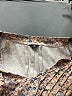 Micoson Tan Long Sleeve Blouse Size L (estimated) - photo 7
