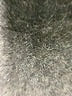 Evolution and Creation Animal Print Ivory Casual Pants Size S - photo 8