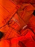 FP Movement 100% Nylon Orange Casual Pants Size XS - photo 3