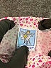 Assorted Brands Polka Dots White Shorts 3-6 MO / 6 MO - photo 3