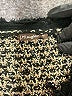J. McLaughlin Gold Cardigan Size M - photo 7