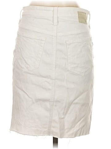 Adriano Goldschmied Denim Skirt (view 2)