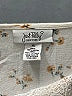 Just Polly Ivory Long Sleeve Blouse Size XL - photo 7