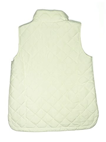 Lands' End Vest (view 2)