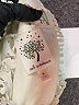 Self Esteem 100% Polyester Ivory Sleeveless Blouse Size S - photo 7