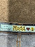 Mudd 100% Cotton Blue Jeans Size 11 - photo 7