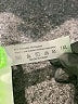Unbranded Solid Green One Piece Swimsuit Size 1X - photo 3