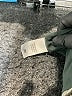 Treasure & Bond 100% Polyester Gray Jacket Size 1X - photo 7