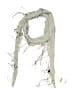 Express Gray Scarf One size - photo 1
