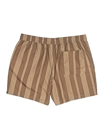 Arizona Jean Company Board Shorts (view 2)