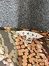 CAbi Brown Sleeveless Blouse Size M - photo 7