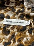 Rebecca Minkoff 100% Polyester Animal Print Brown Long Sleeve Blouse Size 2X - photo 7
