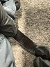 Kyodan Solid Gray Track Pants Size S - photo 8