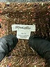 Kimchi Blue Tweed Brown Turtleneck Sweater Size XS - photo 7
