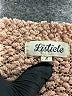 Listicle Tan Cardigan Size S - photo 7