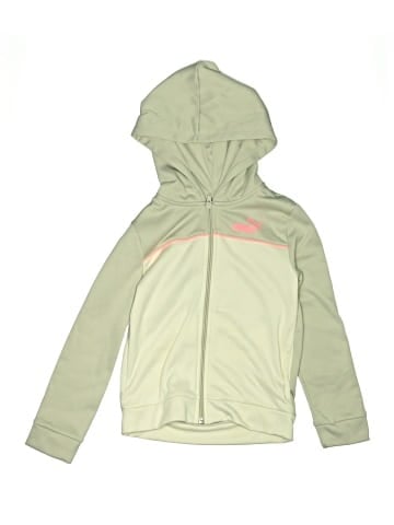 Puma Zip Up Hoodie (view 1)