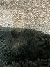 Unbranded 100% Polyester Black Faux Fur Vest Size L (estimated) - photo 6
