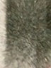 Stella & Dot Ivory Long Sleeve Top Size L - photo 8