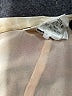 Escada Floral Tan Casual Dress Size 36 - photo 4