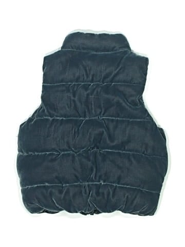 Gymboree Vest (view 2)