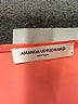 Amanda Uprichard 100% Polyester Orange Sleeveless Blouse Size M - photo 7