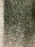 Veronica M. Print Brown Casual Pants Size S - photo 8