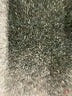 Veronica M. Print Brown Casual Pants Size S - photo 9