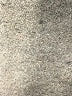 Picapino Print Black Casual Pants Size 6X - photo 3