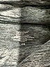 Cuddl Duds Gray Active Pants Size M - photo 7
