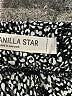 Vanilla Star 100% Rayon Tweed Black Shorts Size L - photo 3