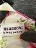 Blueberi Boulevard Yellow Dress 9-12 MO / 12 MO - photo 3