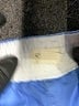 NATION LTD Solid Blue Board Shorts Size 12 - photo 3
