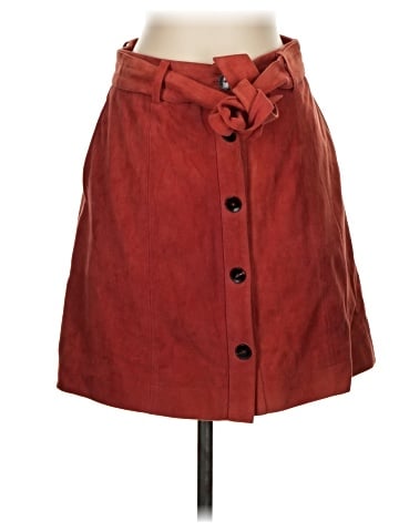 Joie Leather Skirt (view 1)