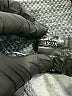 Yest Gray Yoga Pants Size 1X - photo 7