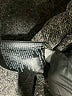 Uniqlo Gray Turtleneck Sweater Size S - photo 8