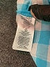 MICHAEL Michael Kors Checkered-gingham Blue Long Sleeve Button-Down Shirt Size XS - photo 8