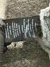 Absolutely Famous Gray Pullover Sweater Size M - photo 5