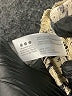 Three Dots 100% Rayon Animal Print Gold Shorts Size L - photo 4