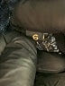 Jag Jeans Stripes Blue Jeans Size 6 - photo 9
