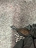 The Limited Houndstooth Gray Casual Dress Size 6 - photo 8