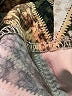 H&M Ivory Jumpsuit Size 6 - photo 5
