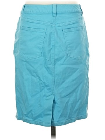 Talbots Casual Skirt (view 2)