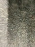 Assorted Brands Black Gray Blazer Size L (estimated) - photo 8