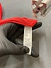 HEATHER Red Long Sleeve Top Size M - photo 8