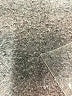 Isaac Mizrahi LIVE! Animal Print Silver Pullover Sweater Size 3X - photo 8