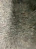 Croft & Barrow Stripes Gray Long Sleeve Button-Down Shirt Size L - photo 9