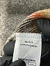 Unbranded 100% Polyester Plaid Brown Pullover Sweater Size S - photo 8